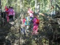 /album/ciste-hory-2012/dscn1849-jpg/